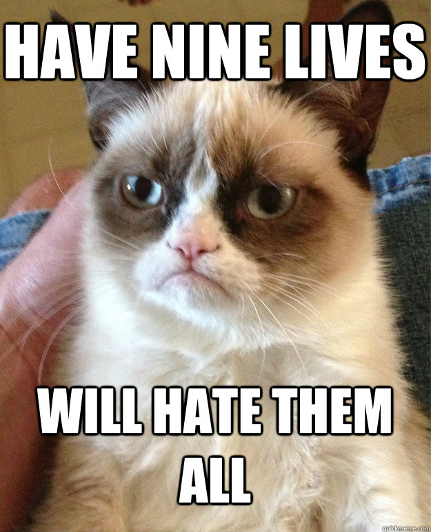 Have nine lives Will hate them all  Tard cat shabbos