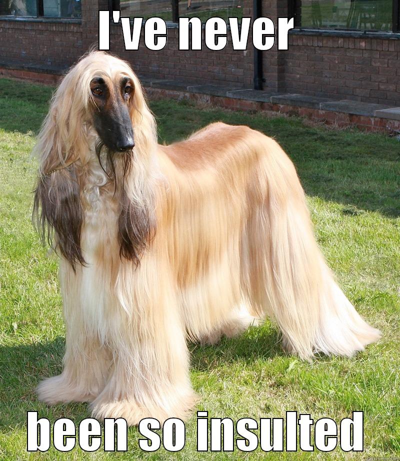 Insulted afghan hound - I'VE NEVER BEEN SO INSULTED Misc