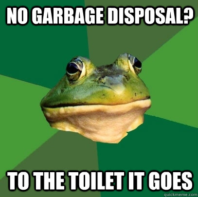 No garbage disposal? To the toilet it goes  Foul Bachelor Frog