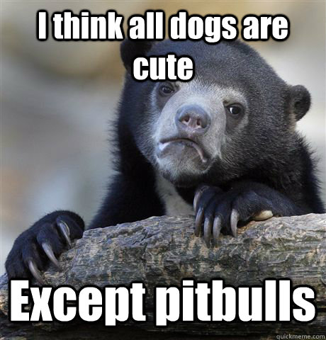 I think all dogs are cute Except pitbulls  Confession Bear