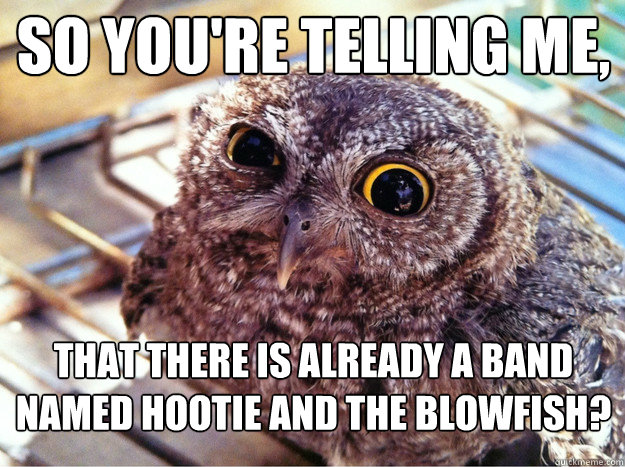 So you're telling me, that there is already a band named Hootie and the Blowfish? - So you're telling me, that there is already a band named Hootie and the Blowfish?  Skeptical Owl