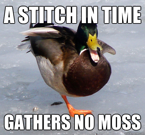 A stitch in time  gathers no moss - A stitch in time  gathers no moss  Mixed Metaphor Mallard