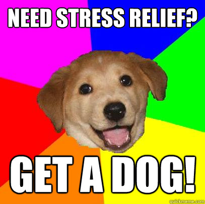 need stress relief? get a dog!  Advice Dog