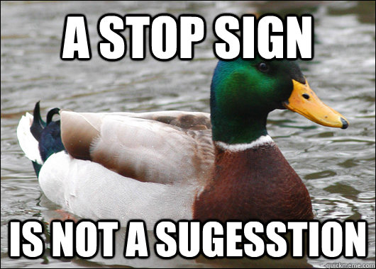 A Stop Sign Is not a sugesstion  Actual Advice Mallard