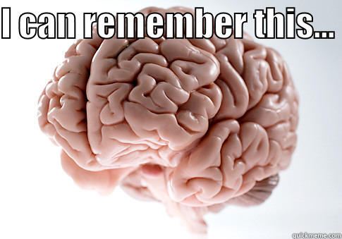 I CAN REMEMBER THIS...   Scumbag Brain