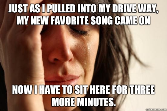 JUST AS I PULLED INTO MY DRIVE WAY, MY NEW FAVORITE SONG CAME ON NOW I HAVE TO SIT HERE FOR THREE MORE MINUTES.  First World Problems