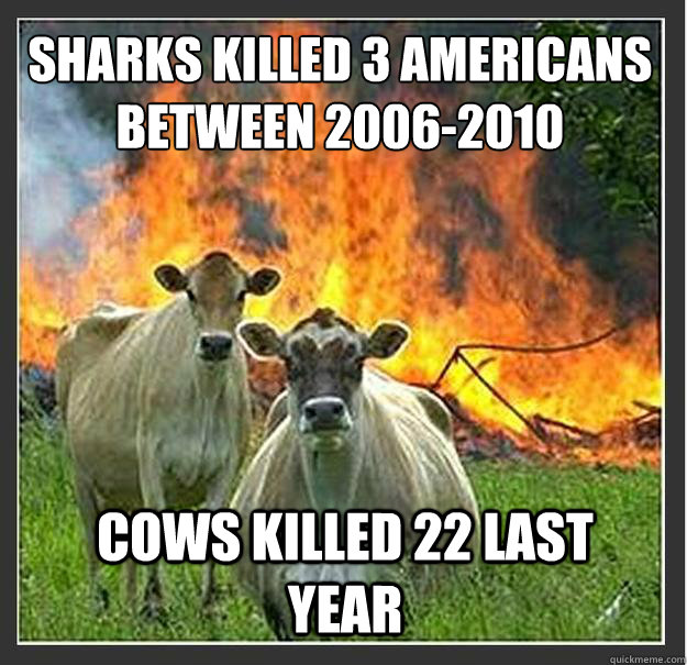 Sharks killed 3 Americans
between 2006-2010 Cows killed 22 last year - Sharks killed 3 Americans
between 2006-2010 Cows killed 22 last year  Evil cows