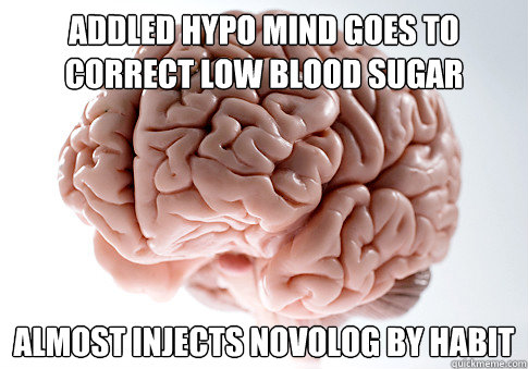 addled hypo mind Goes to correct low blood sugar almost injects novolog by habit  Scumbag Brain