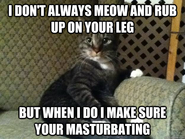 I don't always meow and rub up on your leg but when I do I make sure your masturbating  