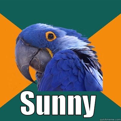 because I had to -  SUNNY Paranoid Parrot