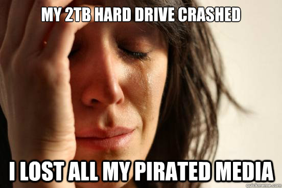 My 2TB hard drive crashed I lost all my pirated media  First World Problems