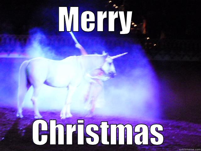 Unicorn Christmas - MERRY  CHRISTMAS Misc
