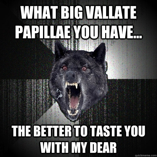What big vallate papillae you have... The better to taste you with my dear  Insanity Wolf