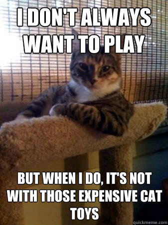 I don't always want to play but when I do, it's not with those expensive cat toys  The Most Interesting Cat in the World