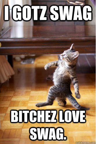 i gotz swag bitchez love swag.  