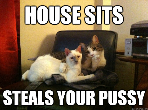 House sits Steals your pussy - House sits Steals your pussy  Scumbag Cat