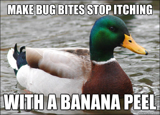 Make bug bites stop itching With a banana peel  Actual Advice Mallard