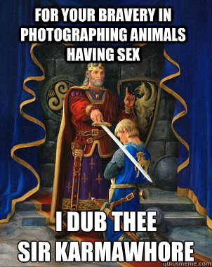 For your bravery in photographing animals having sex I dub thee
Sir Karmawhore  