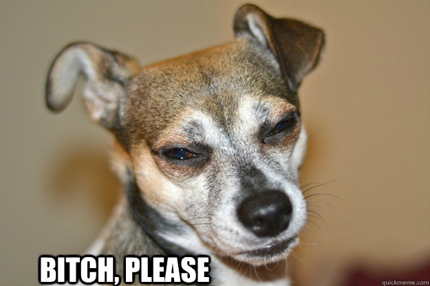 Bitch, Please  Disgruntled Dog