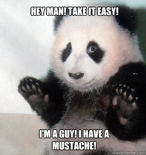 Hey man! Take it easy! I'm a guy! I have a mustache!  Badass Panda