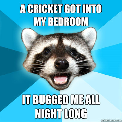 A CRICKET GOT INTO
MY BEDROOM IT BUGGED ME ALL
NIGHT LONG  Lame Pun Coon