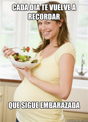 cada dia te vuelve a recordar que sigue embarazada  Annoying Pregnant Facebook Girl