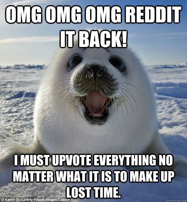 OMG OMG OMG Reddit it back! I must upvote everything no matter what it is to make up lost time.  