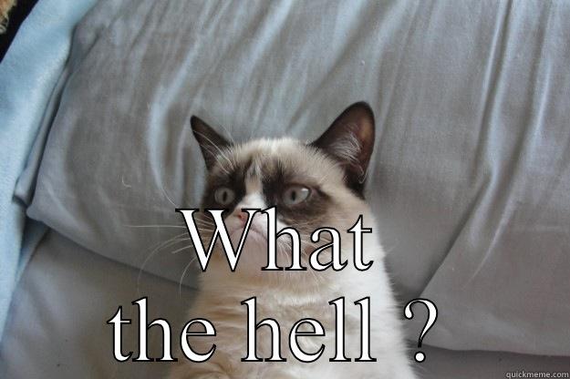 What the hell  -  WHAT THE HELL ? Grumpy Cat