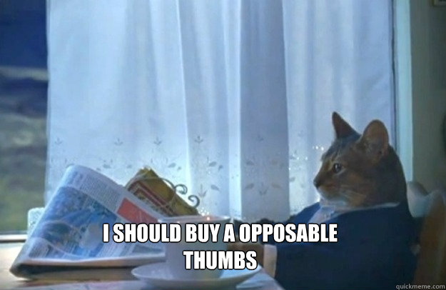 I should buy a opposable thumbs  Sophisticated Cat