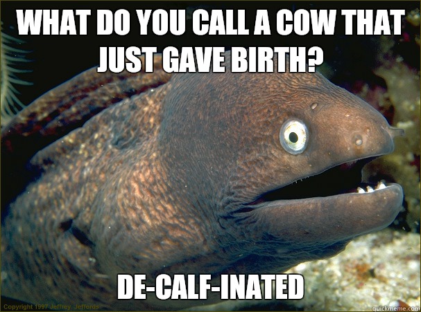 What do you call a cow that just gave birth? De-calf-inated  Bad Joke Eel