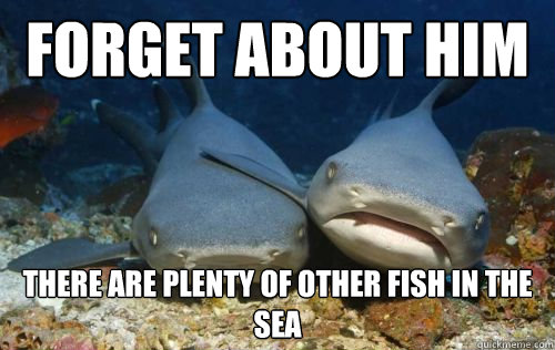 Forget about him there are plenty of other fish in the sea  Compassionate Shark Friend