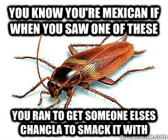 You know you're Mexican if when you saw one of these You ran to get someone elses chancla to smack it with  