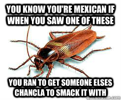 You know you're Mexican if when you saw one of these You ran to get someone elses chancla to smack it with - You know you're Mexican if when you saw one of these You ran to get someone elses chancla to smack it with  Mexican