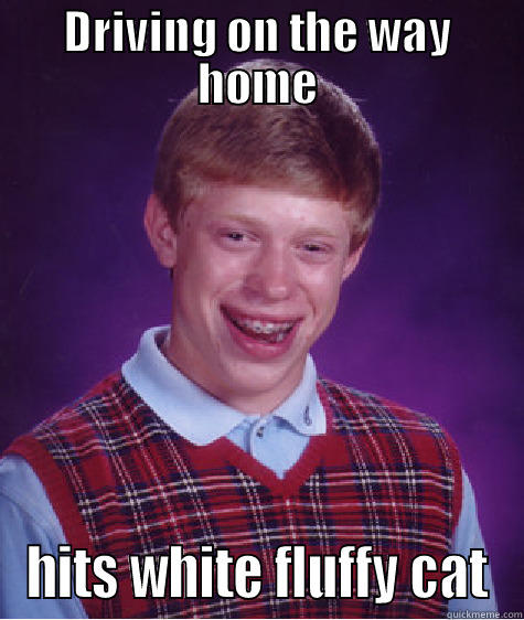 DRIVING ON THE WAY HOME HITS WHITE FLUFFY CAT Bad Luck Brian