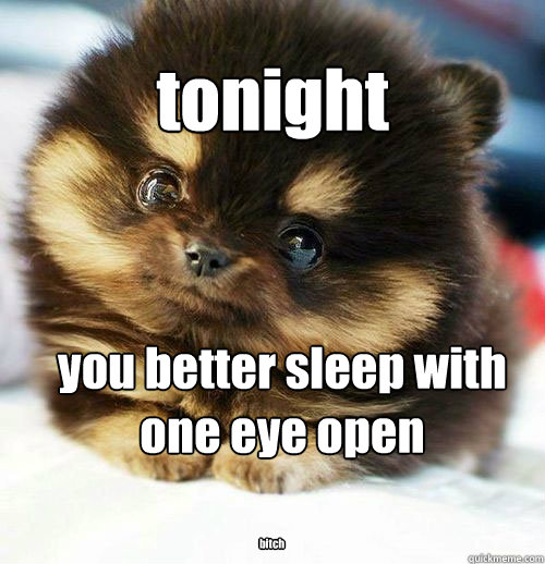 tonight you better sleep with one eye open bitch  Brainlessly Cute