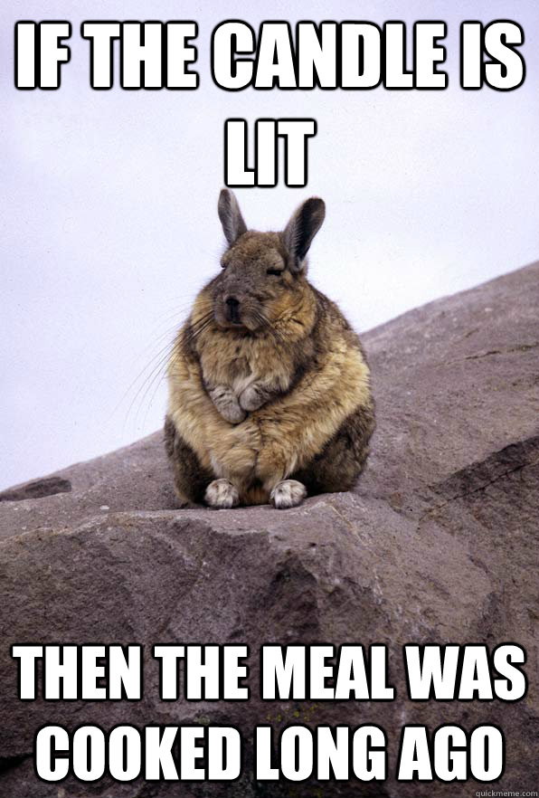 If the candle is lit Then the meal was cooked long ago  Wise Wondering Viscacha