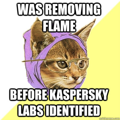 was removing Flame  before Kaspersky Labs identified   Hipster Kitty