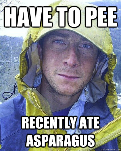 Have to pee Recently ate asparagus - Have to pee Recently ate asparagus  Bear Grylls Problem