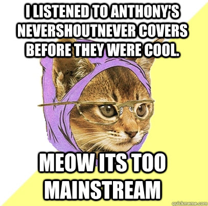 i listened to anthony's nevershoutnever covers before they were cool. meow its too mainstream  Hipster Kitty