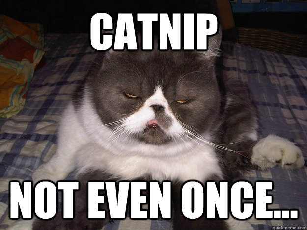 Catnip Not even once... - Catnip Not even once...  Misc