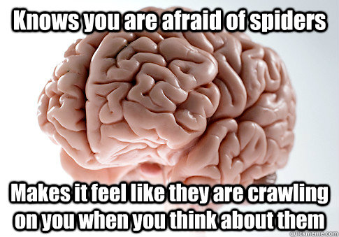 Knows you are afraid of spiders Makes it feel like they are crawling on you when you think about them  Scumbag Brain