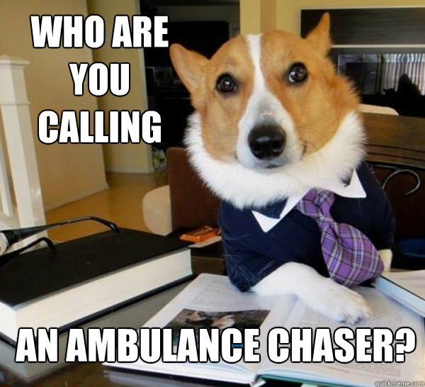 Who are you calling an ambulance chaser?  Lawyer Dog