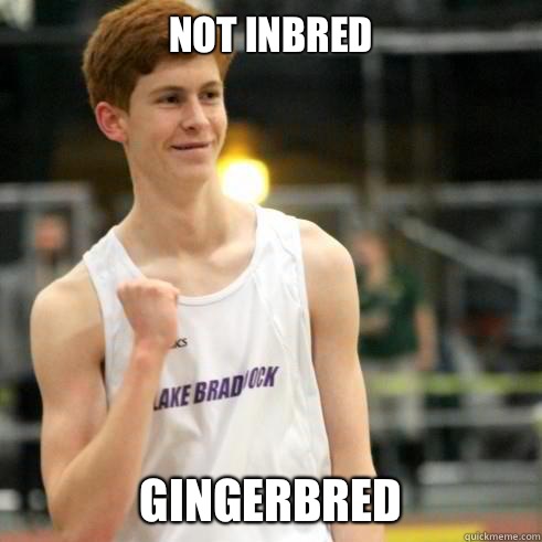 Not inbred Gingerbred  Success Ginger