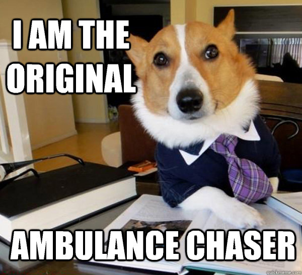 I am the original Ambulance chaser  Lawyer Dog