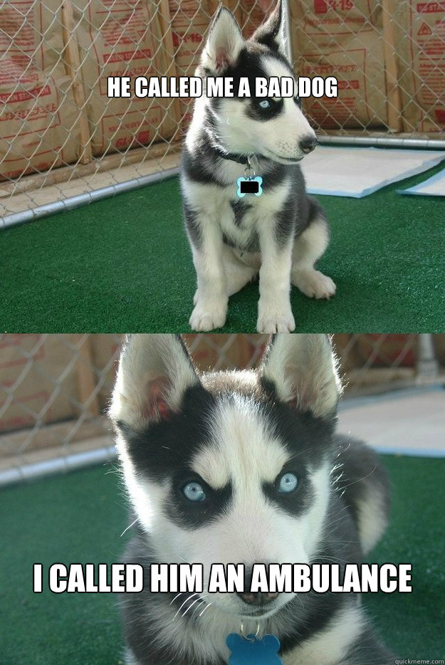 He called me a Bad Dog I called him an ambulance - He called me a Bad Dog I called him an ambulance  Insanity puppy