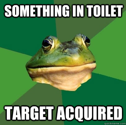 something in toilet target acquired  Foul Bachelor Frog