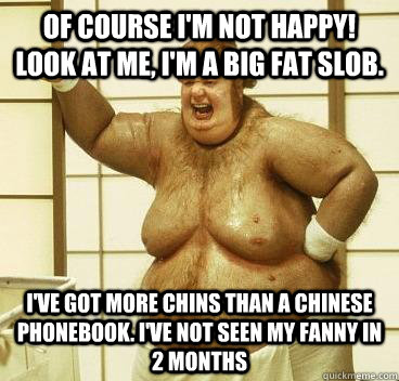 Of course I'm not happy! Look at me, I'm a big fat slob. I've got more chins than a Chinese phonebook. I've not seen my fanny in 2 months - Of course I'm not happy! Look at me, I'm a big fat slob. I've got more chins than a Chinese phonebook. I've not seen my fanny in 2 months  How i feel right now