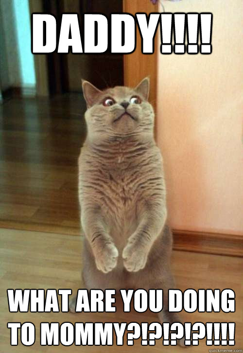 DADDY!!!! wHAT ARE YOU DOING TO MOMMY?!?!?!?!!!!  Horrorcat