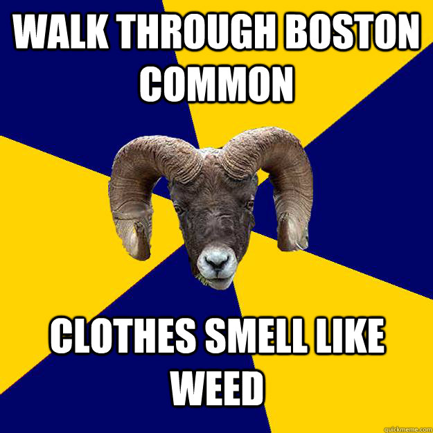 Walk Through Boston Common clothes smell like weed   Suffolk Kid Ram