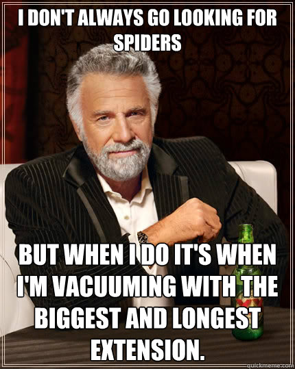 I don't always go looking for spiders but when I do it's when I'm vacuuming with the biggest and longest extension.  The Most Interesting Man In The World